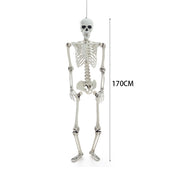 Halloween Realistic Full Body Skeleton Prop Decoration Posable Joints