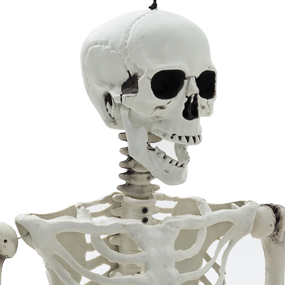 Halloween Realistic Full Body Skeleton Prop Decoration Posable Joints