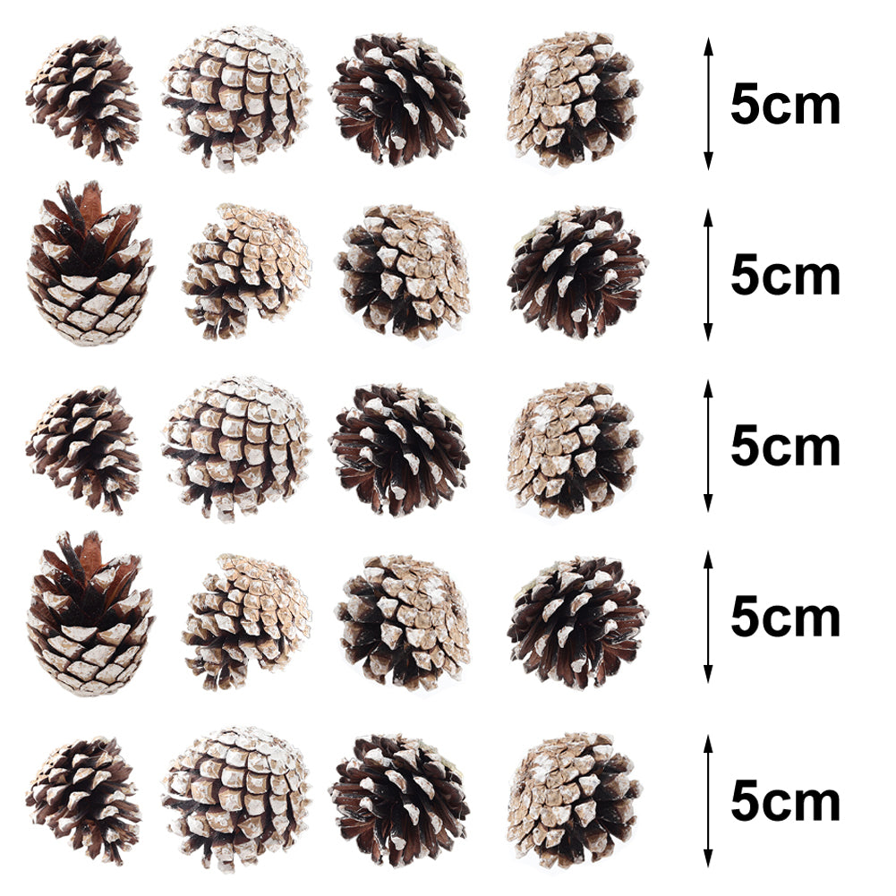 30 Pieces Real Pine Cone Dyed with White Paint Christmas Tree Hanging Ornament Set