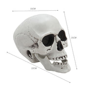 Halloween Realistic Plastic Skull Tabletop Decoration