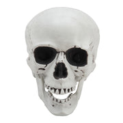 Halloween Realistic Plastic Skull Tabletop Decoration