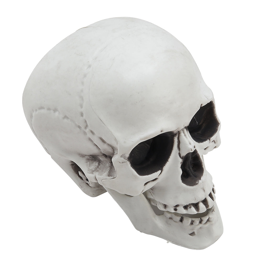 Halloween Realistic Plastic Skull Tabletop Decoration