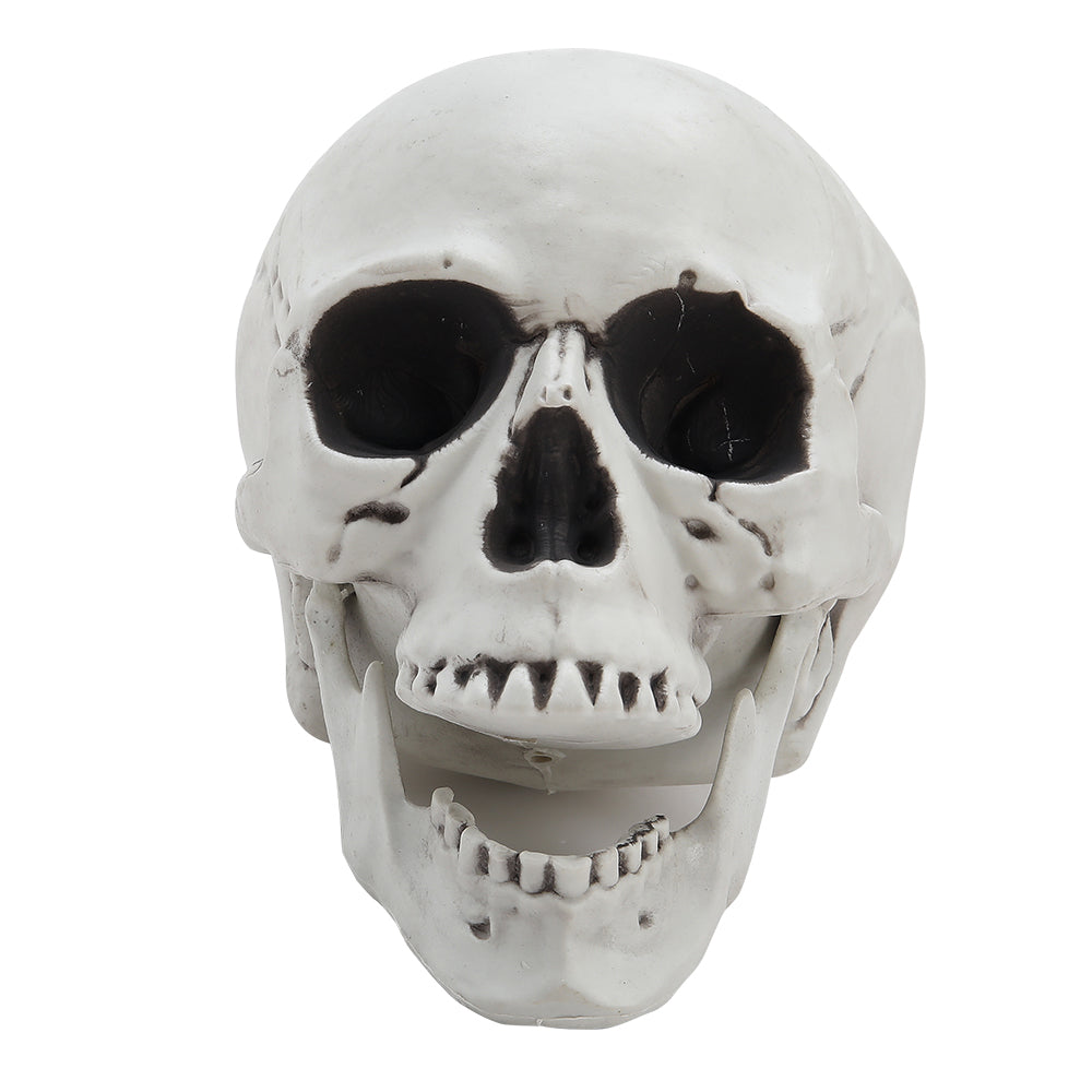 Halloween Realistic Plastic Skull Tabletop Decoration