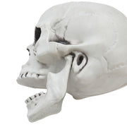 Halloween Realistic Plastic Skull Tabletop Decoration