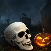 Halloween Realistic Plastic Skull Tabletop Decoration