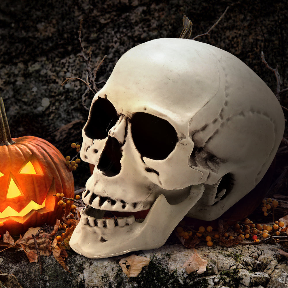 Halloween Realistic Plastic Skull Tabletop Decoration