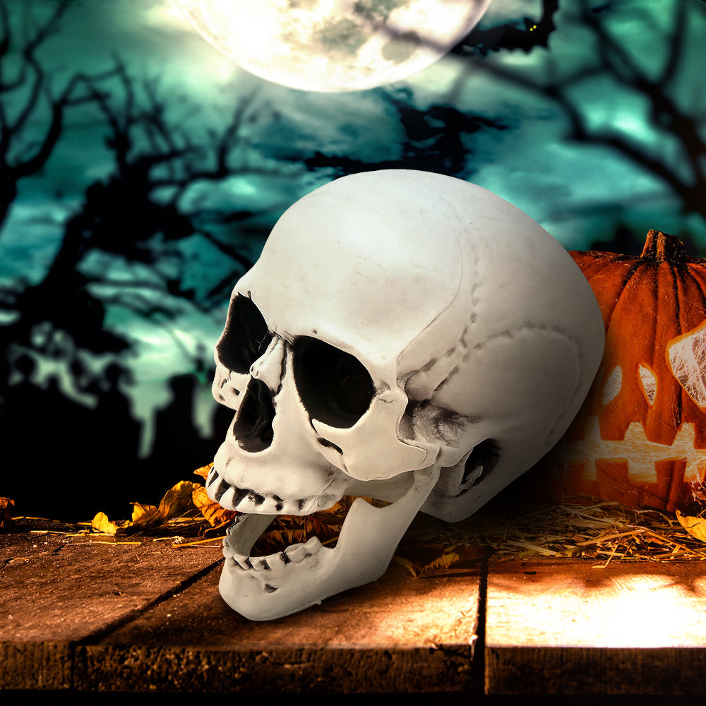 Halloween Realistic Plastic Skull Tabletop Decoration