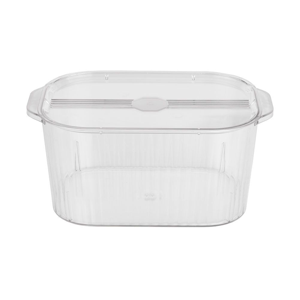 Clear Plastic Container Storage Box