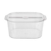 Clear Plastic Container Storage Box