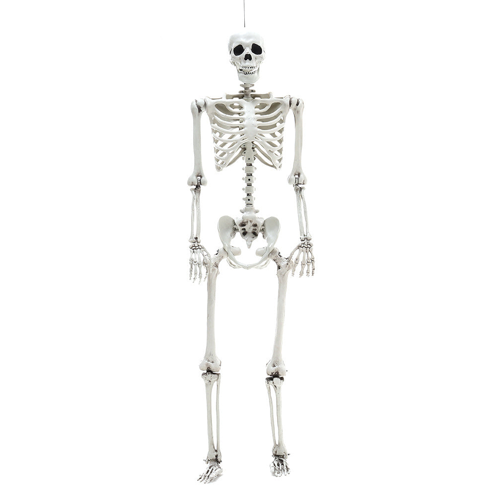 Halloween Realistic Full Body Skeleton Prop Decoration Posable Joints