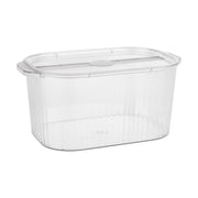 Clear Plastic Container Storage Box