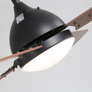 Ceiling Fan Light with LED Lamp & Remote Control 48Inch/42Inch Ceiling Light Living and Home 